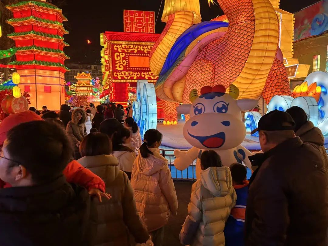 央視直播鄭州龍年燈會(huì)迎新春，花花牛品牌上大分