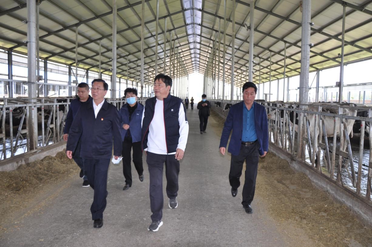 商丘市委常委、宣傳部部長王全周一行蒞臨睢縣瑞亞牧業(yè)有限公司調(diào)研