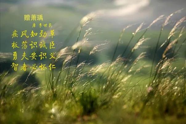 花花牛 | 疾風(fēng)來臨，你是不是勁草？