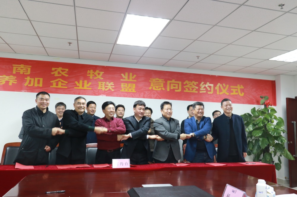 涉農(nóng)企業(yè)強(qiáng)強(qiáng)聯(lián)合，“抱團(tuán)取暖”共迎企業(yè)發(fā)展的春天